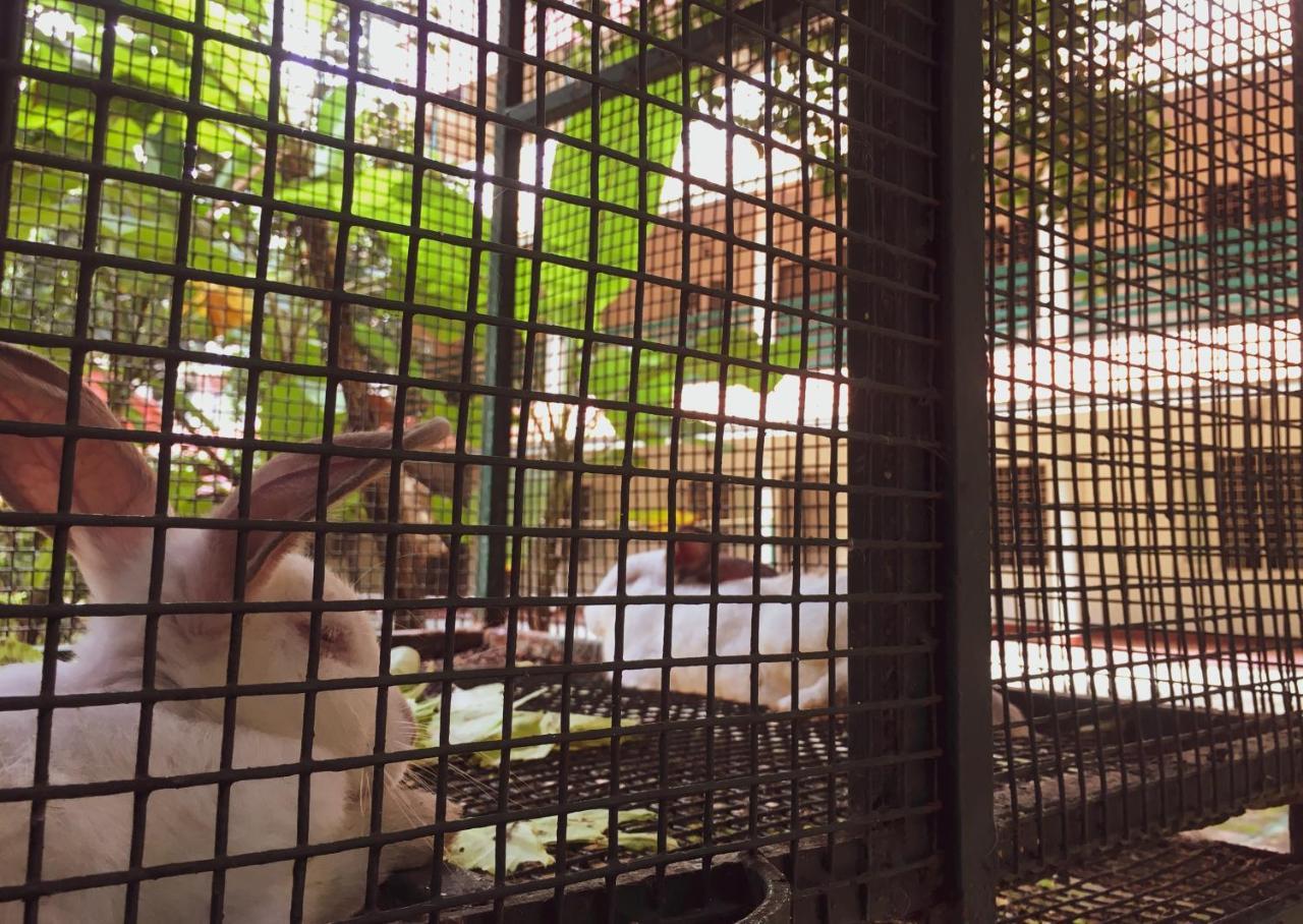 Kochi Palm Grove Service Villa מראה חיצוני תמונה