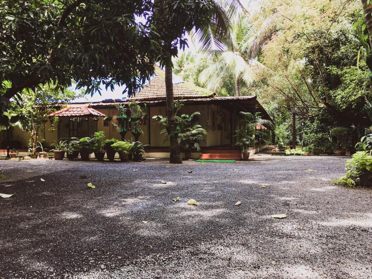 Kochi Palm Grove Service Villa מראה חיצוני תמונה