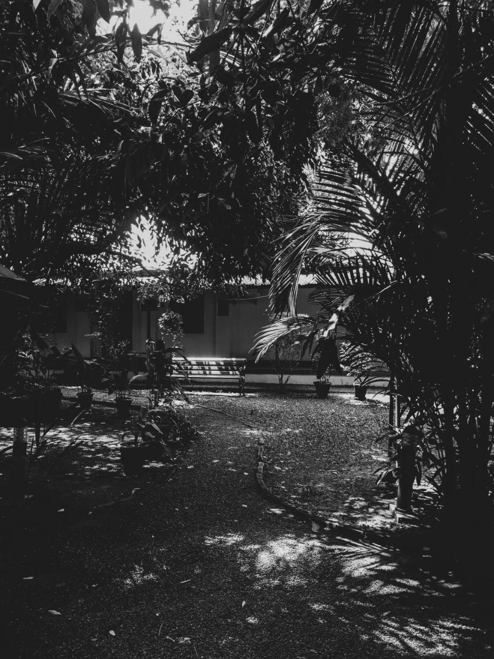 Kochi Palm Grove Service Villa מראה חיצוני תמונה