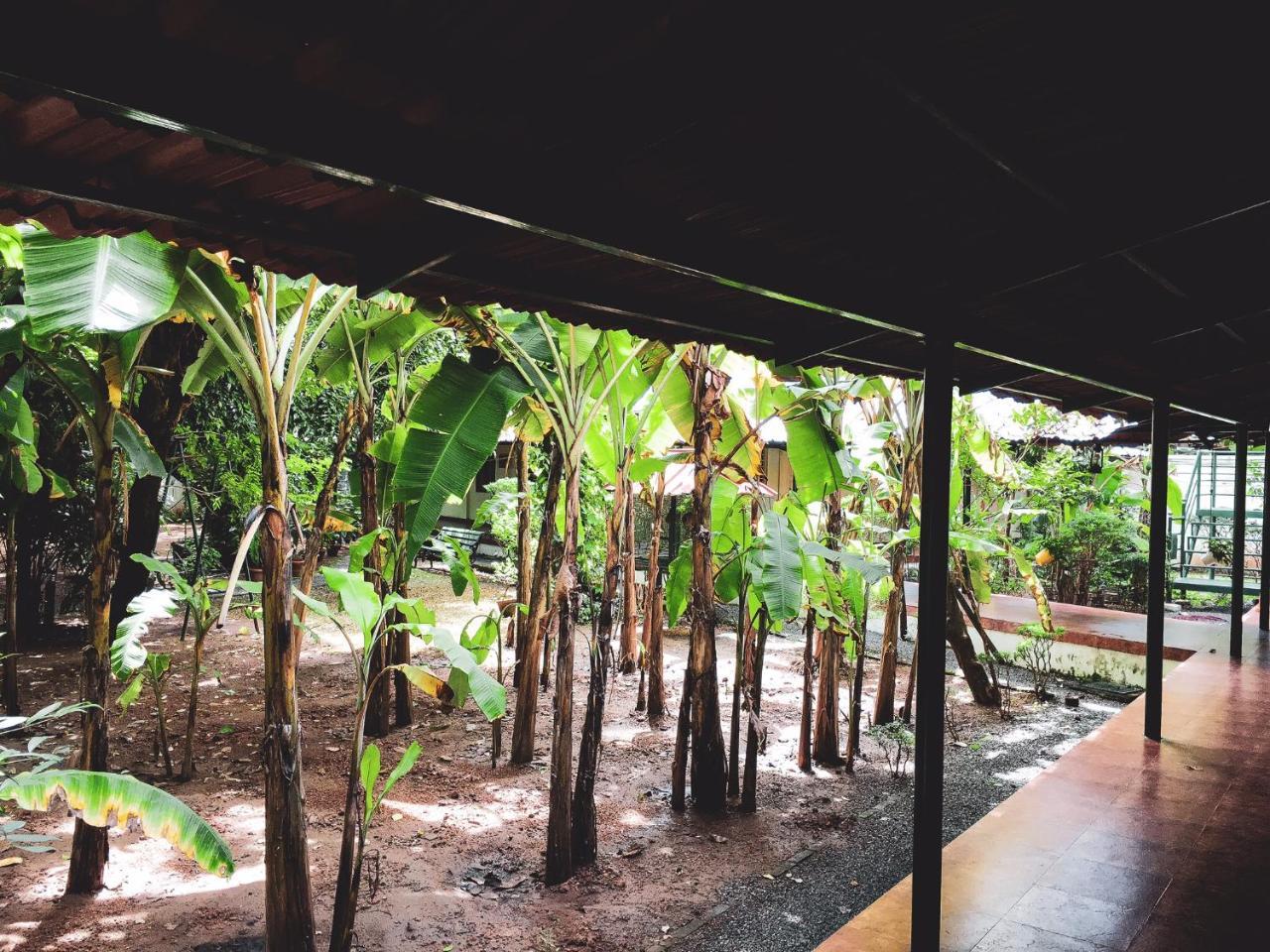 Kochi Palm Grove Service Villa מראה חיצוני תמונה