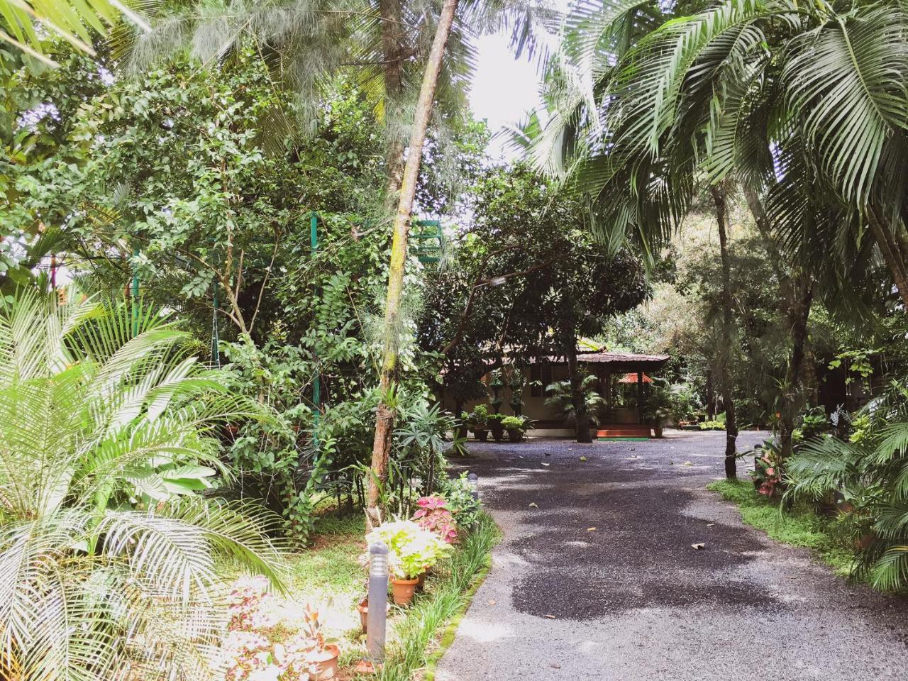 Kochi Palm Grove Service Villa מראה חיצוני תמונה