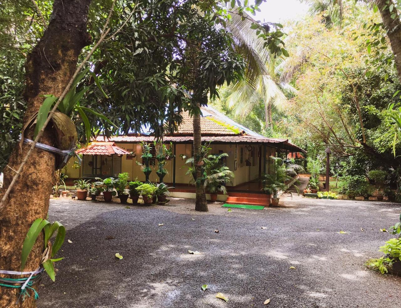 Kochi Palm Grove Service Villa מראה חיצוני תמונה