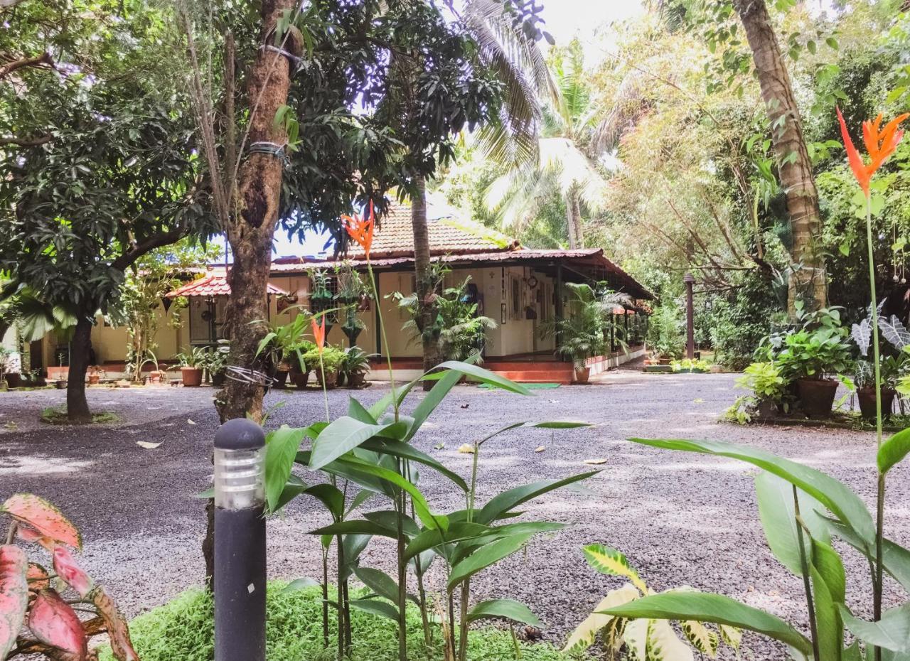 Kochi Palm Grove Service Villa מראה חיצוני תמונה